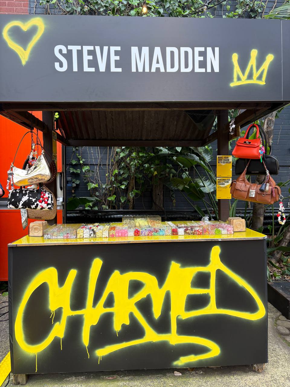 💫 Steve Madden x Bearish: CHARMED